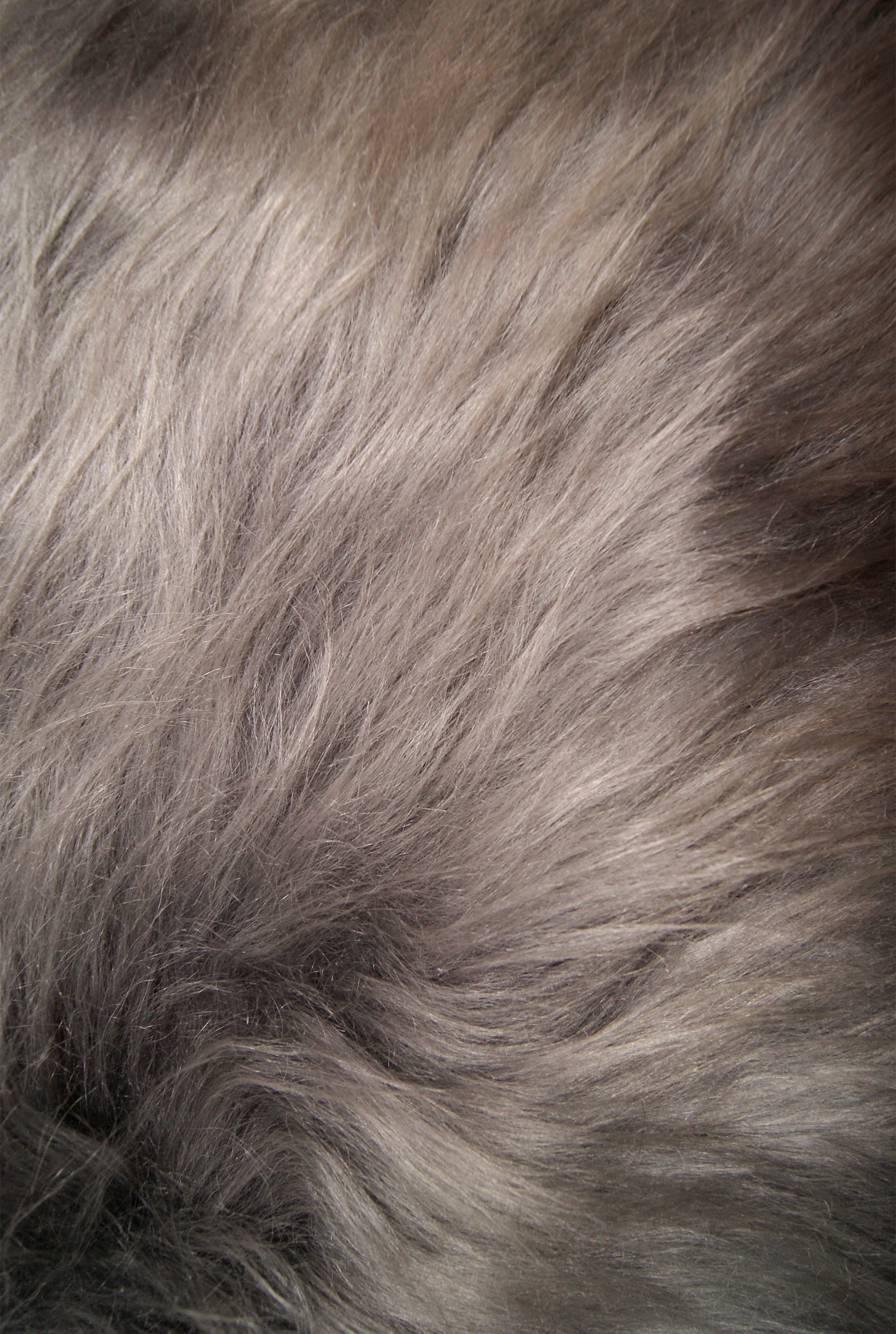 15" X 15" Gray Synthetic Solid Color Pad