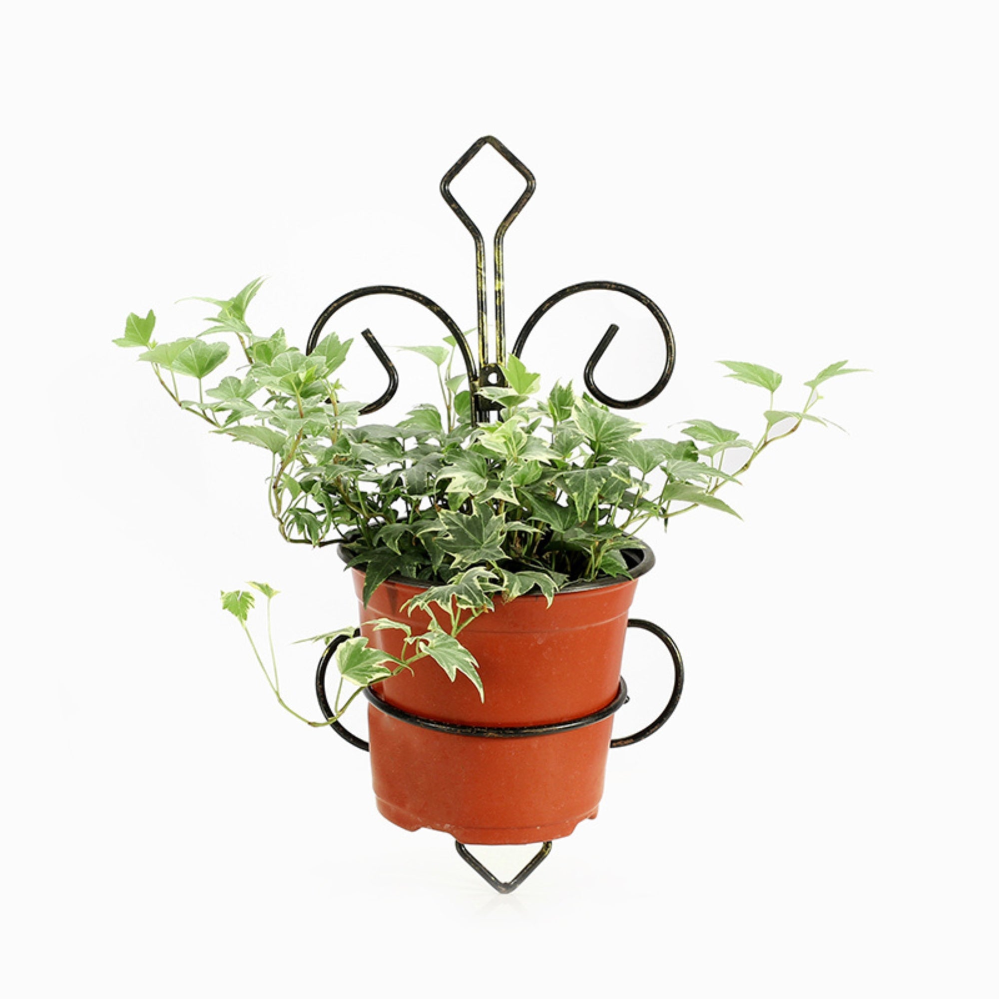 16" Black And Gold Metal Garden Accents Accessories