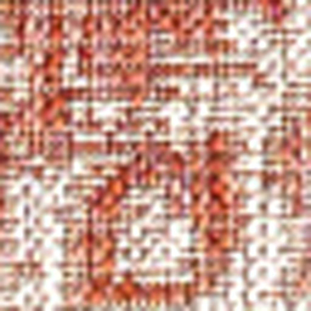 8' X 10' Red And Taupe Medallion Indoor Outdoor Area Rug