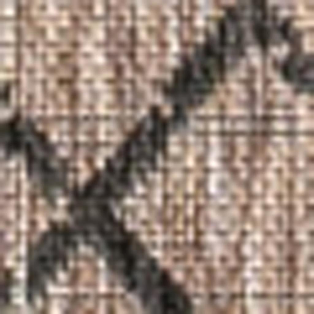 10' X 14' Natural And Black Trellis Indoor Outdoor Area Rug